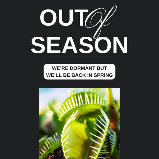 Dionaea Are Out Of Season - We'll Be Back In Spring